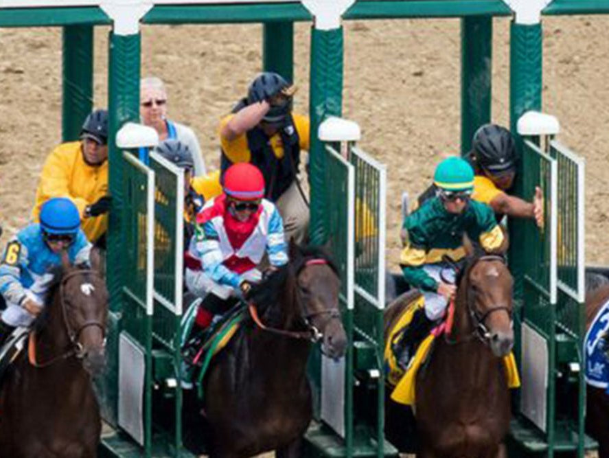 Preakness Angel