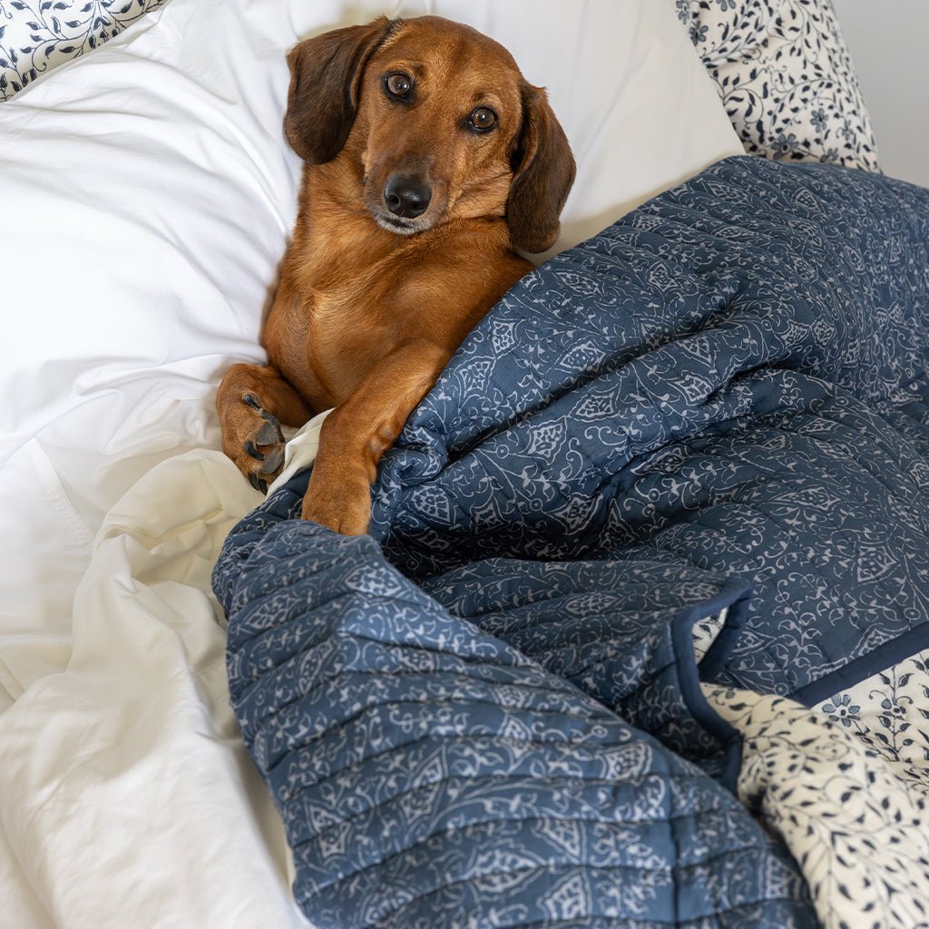 India Hicks Home Queen's Bloom & Kings Lace Navy Coverlet - Pomegranate