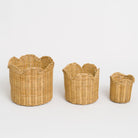 Natural Wicker Scalloped Containers