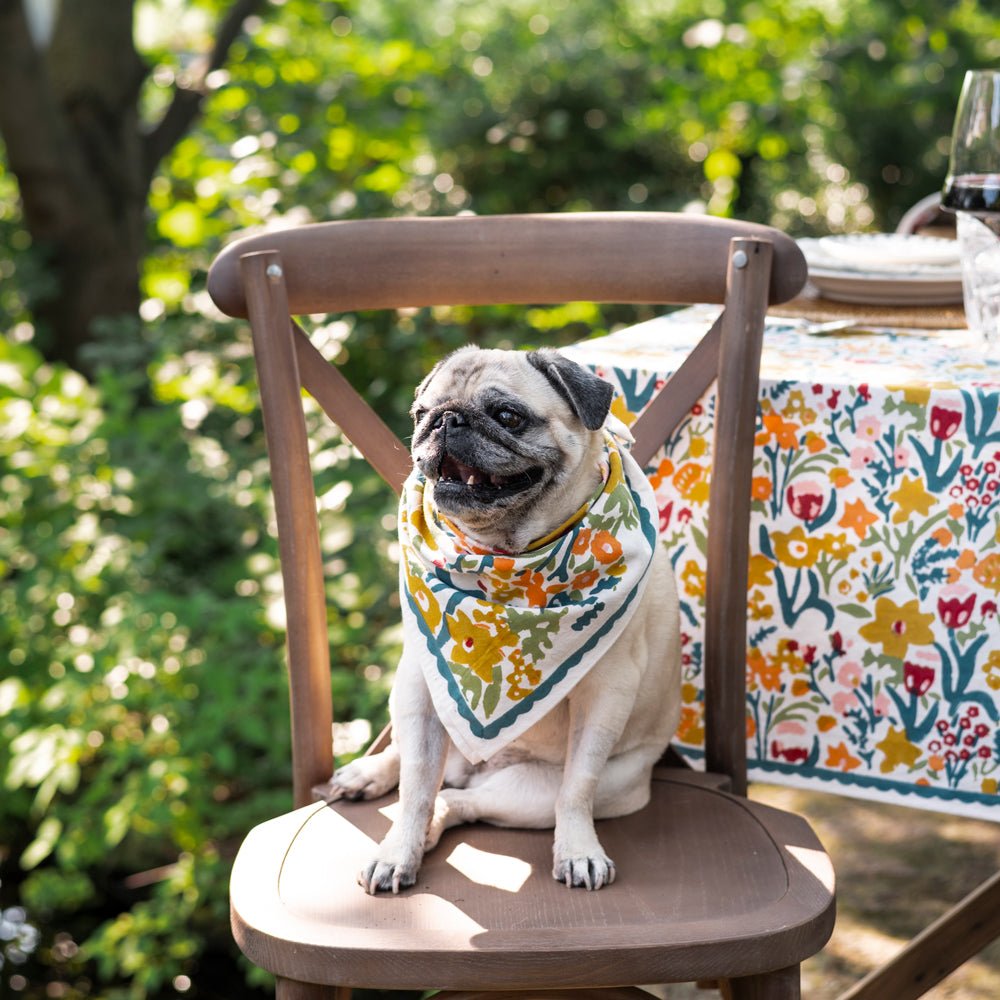 Dog wearing a teal and yellow napkin as a bandana in a garden setting.