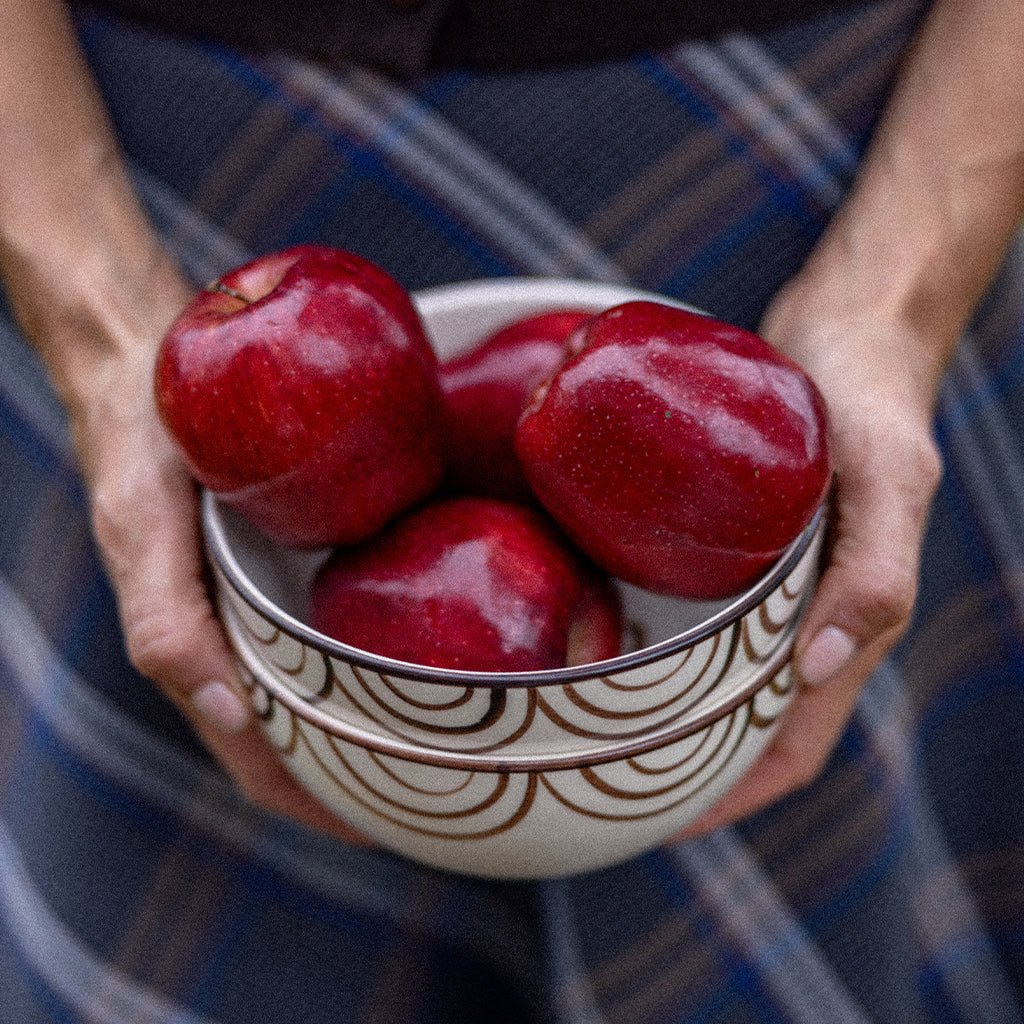 Brown Horse Cereal Bowl | Set of 2 - Pomegranate