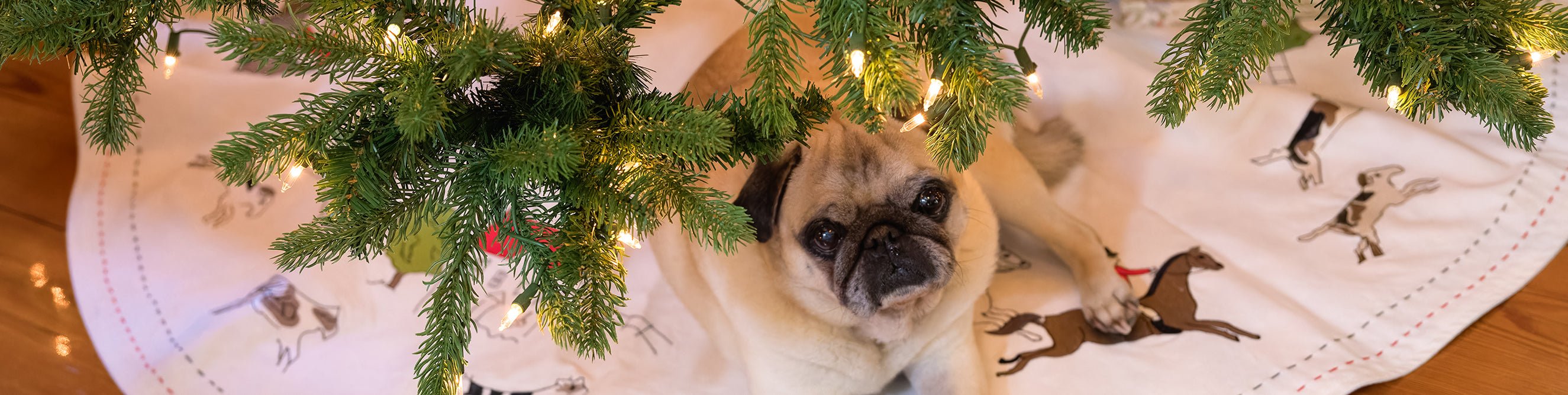 ‘Twas the Week Leading to Christmas