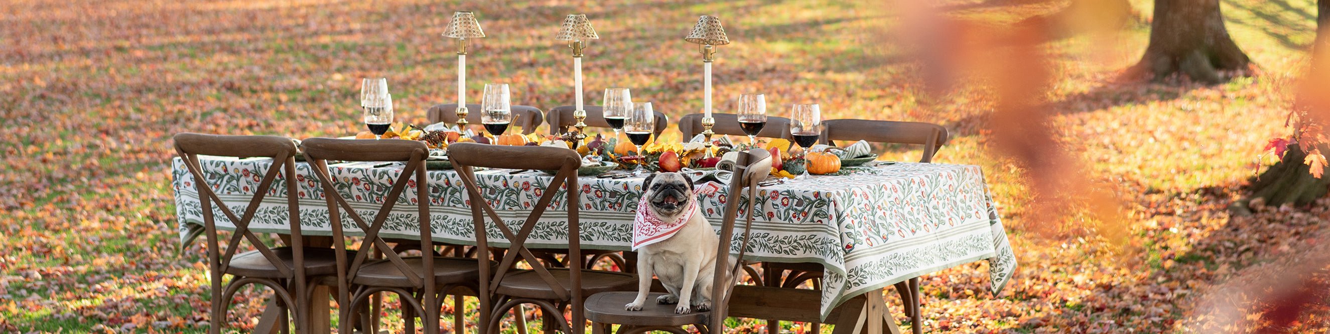 The Thanksgiving Shop