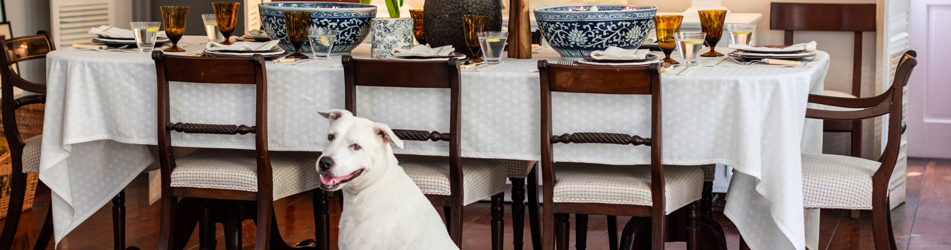 India Hicks Home x Pomegranate - Stars, Sparks & Sea Biscuits