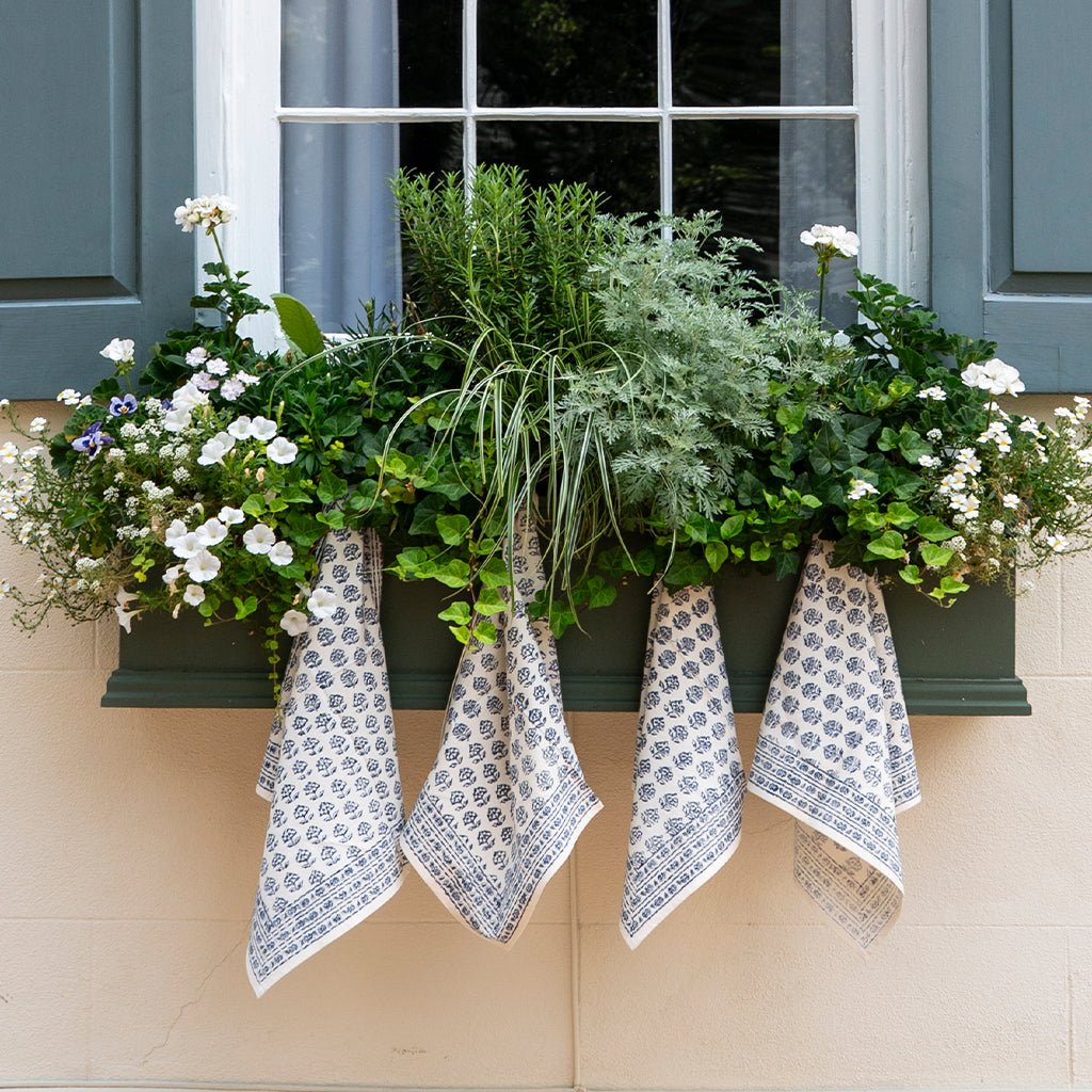 Window box with greenery, white flowers, and blue patterned napkins on a beige wall with blue shutters