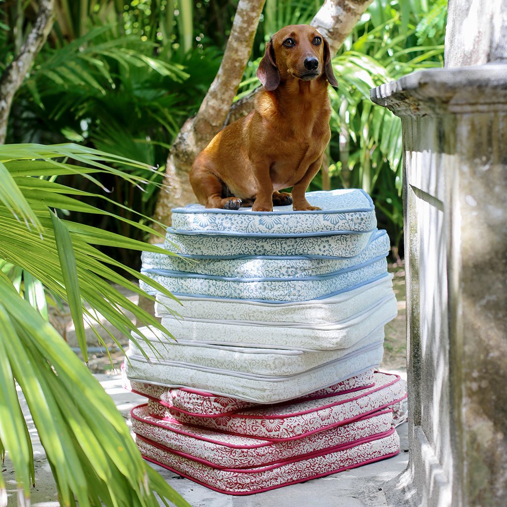 India Hicks Home Desert Rose Saltwater Blue Seat Cushion | Set of 2 - Pomegranate