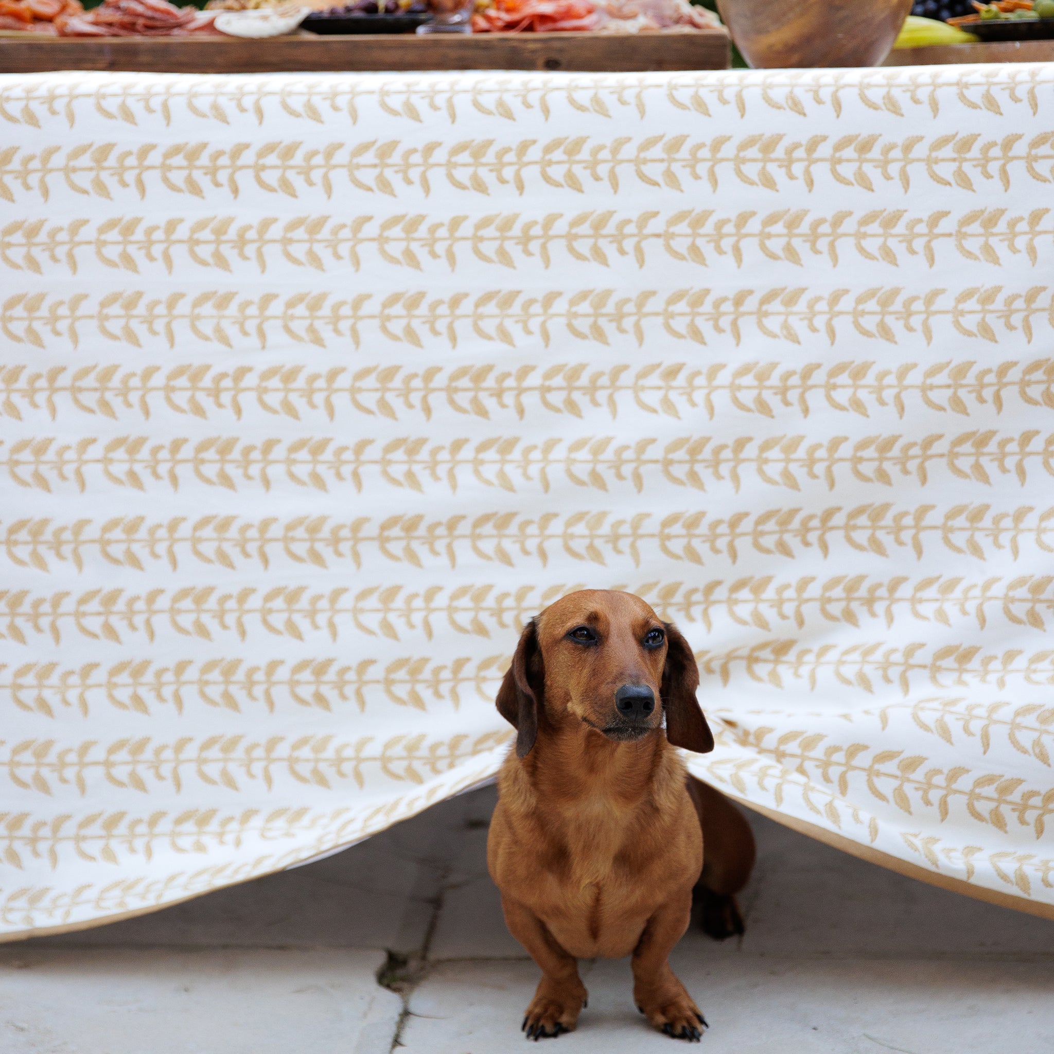 India Hicks Home Climbing Nettle Sand Tablecloth – Pomegranate