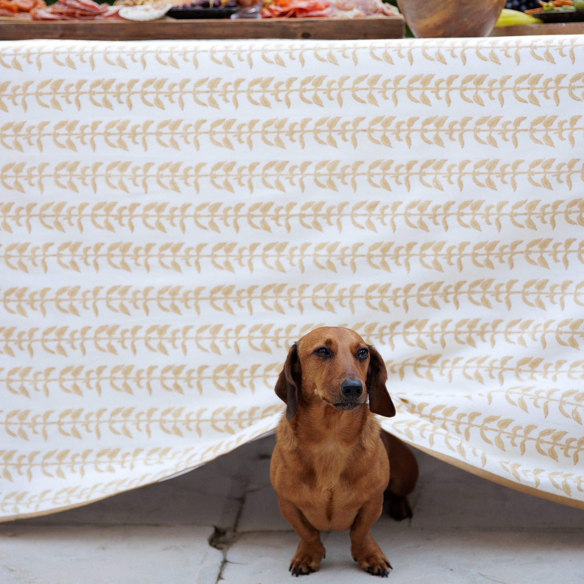 India Hicks Home x Pomegranate Climbing Nettle Sand Hand Block Printed Beige & White Tablecloth