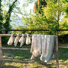Floral & Berries Sage & Taupe Tablecloth - Pomegranate