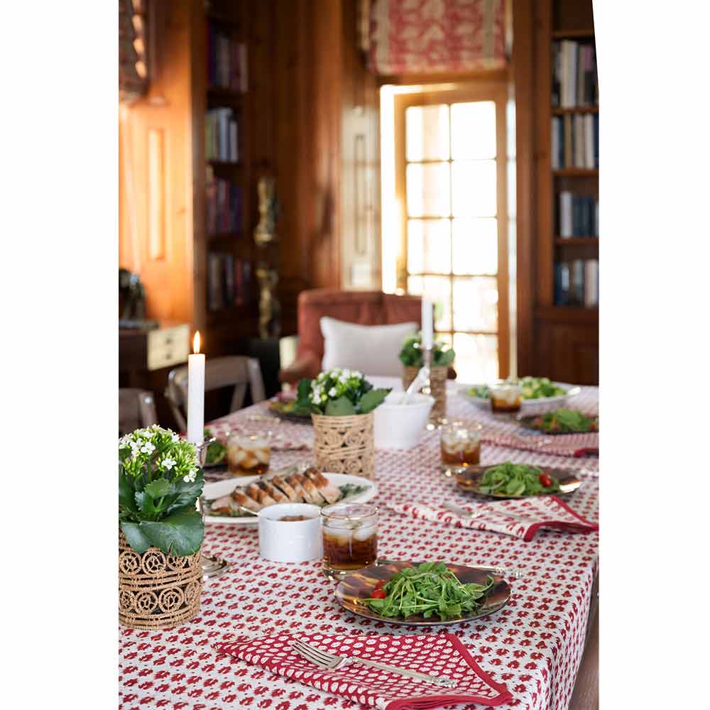 India Hicks Home Pageant Reversed Napkin | Set of 4