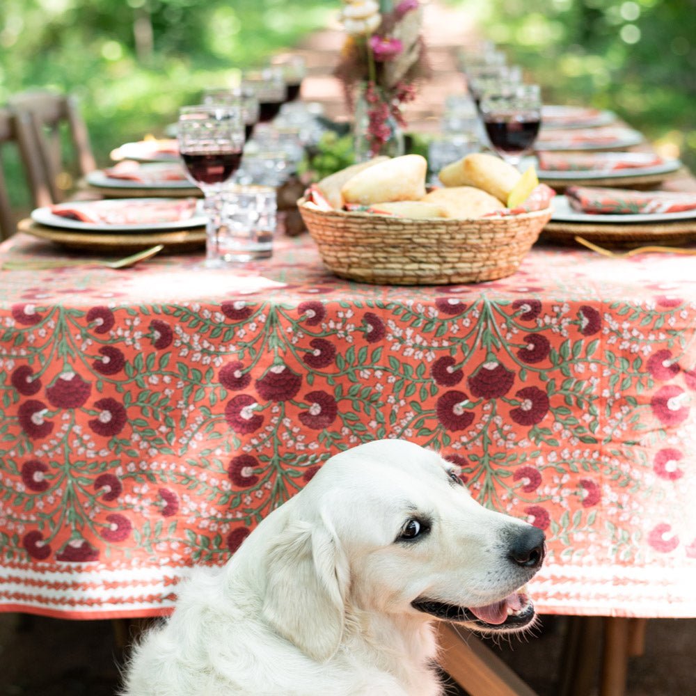 dog sitting in front of outdoor table with cactus flower red tablecloth