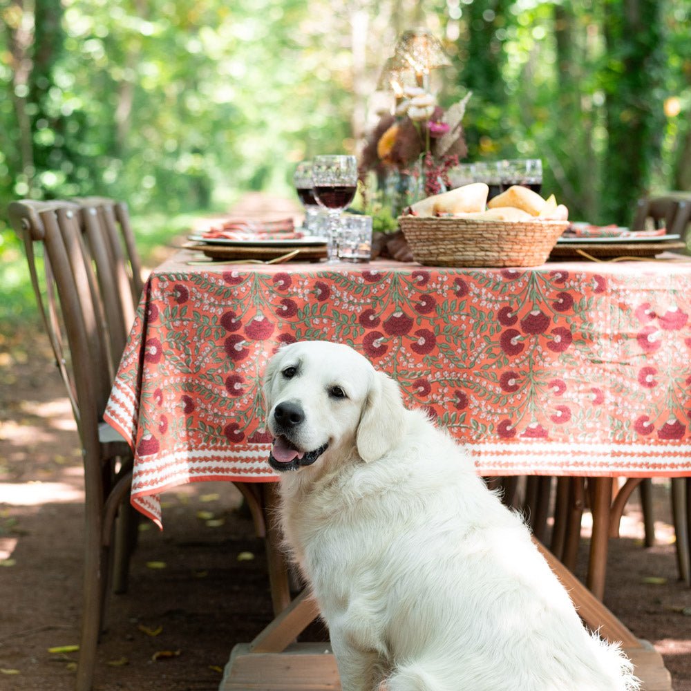 dog sitting in front of outdoor table with cactus flower red tablecloth