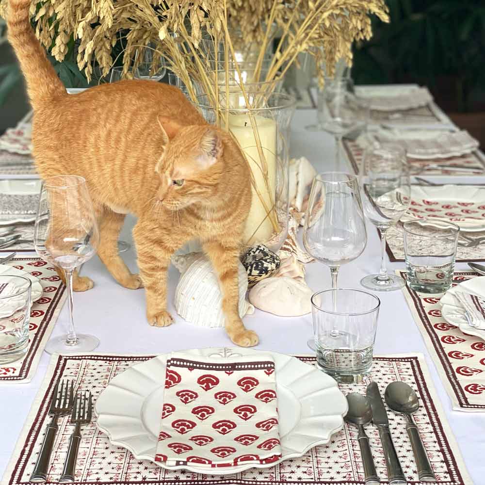 India Hicks Carnations Napkin with a cat on the table