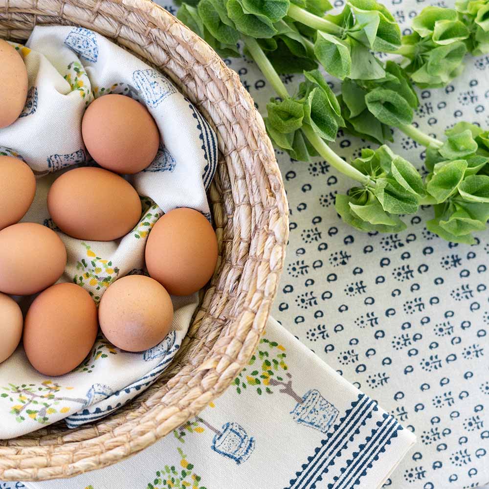 Tablecloth with eggs in basket. 