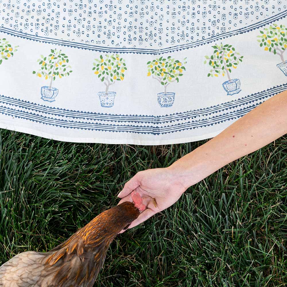 Tablecloth with model and chicken in frame. 